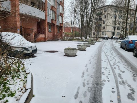Первый снег обнажил проблемы зимней уборки в Петербурге